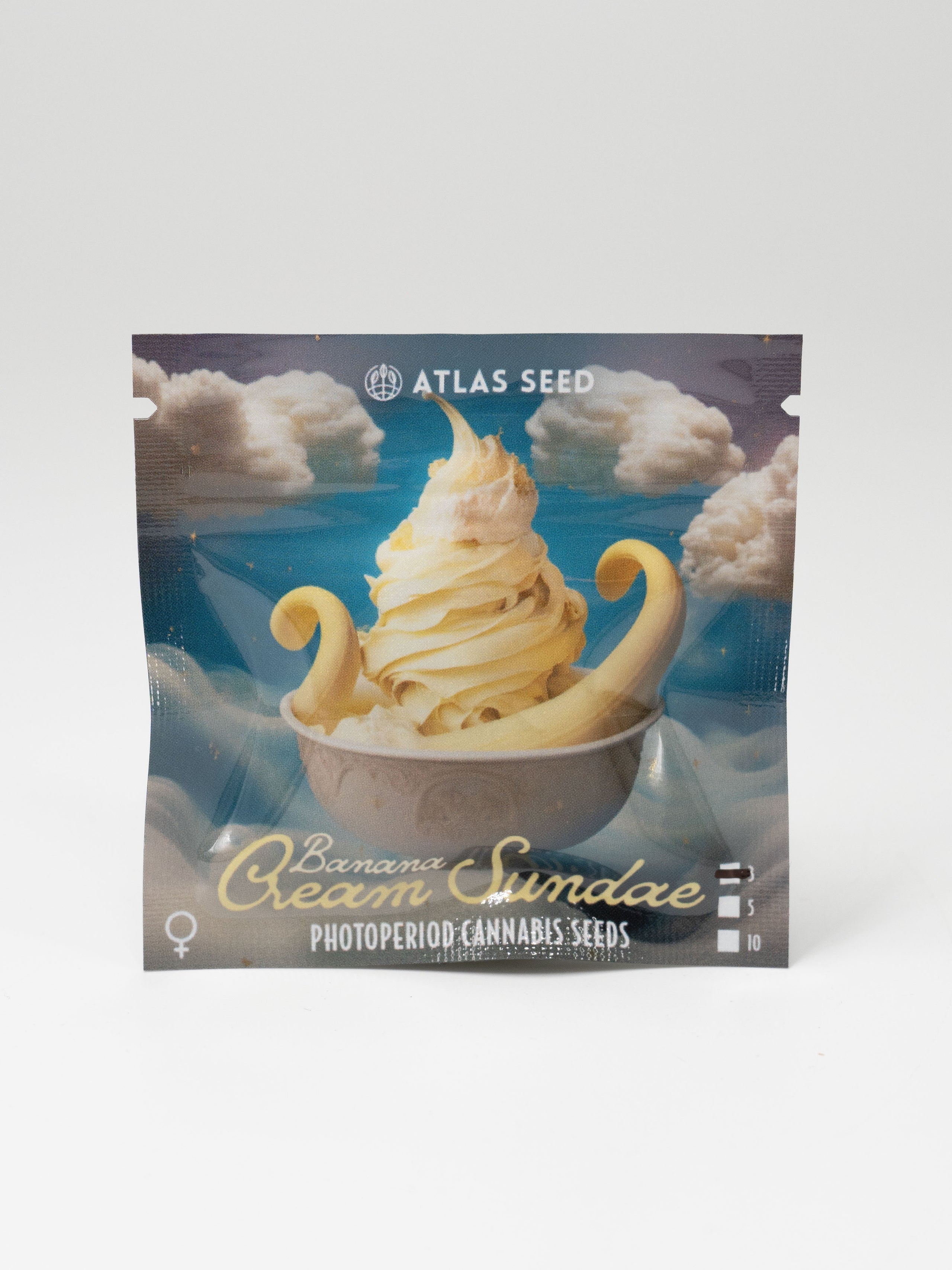 Atlas Seed Photoperiod Cannabis Seeds 3ct Banana Cream Sundae
